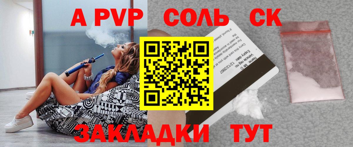 A PVP СК КРИС Нововоронеж