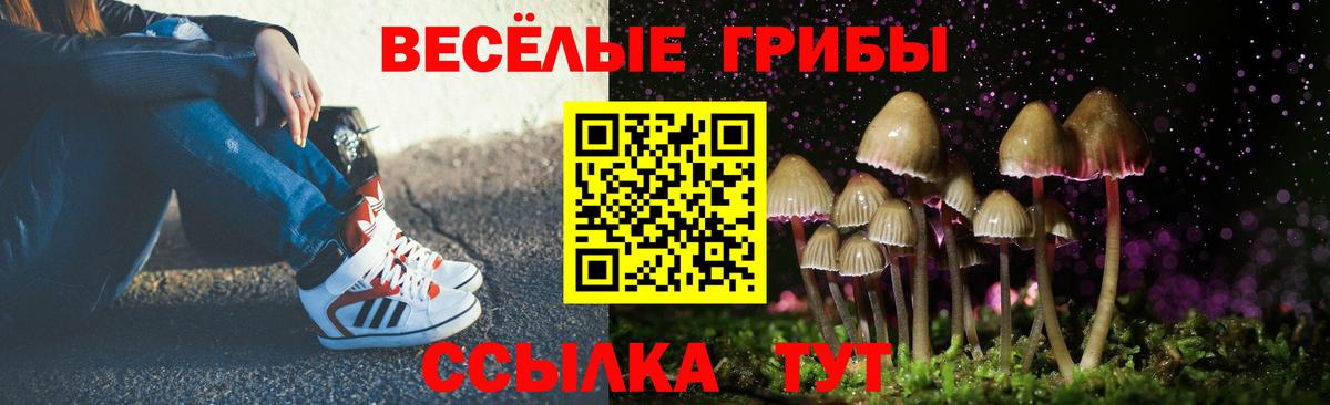 Галлюциногенные грибы мухоморы Нововоронеж