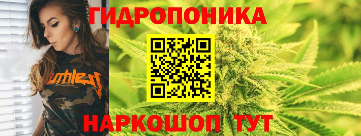 Нововоронеж  Бошки Шишки план  Вход с VPN  Бошки марихуана Bruce Banner  Марихуана Bruce Banner 